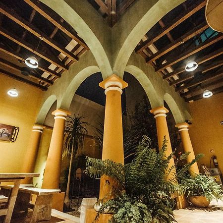 Snail Bed & Breakfast (Adults Only) San Cristóbal de Las Casas Kültér fotó