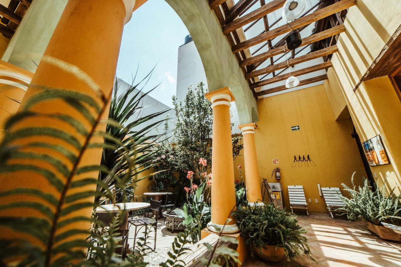 Snail Bed & Breakfast (Adults Only) San Cristóbal de Las Casas Kültér fotó
